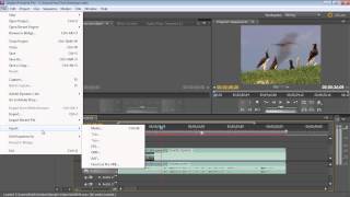 How to Export video from Adobe Premiere Pro CS5 [upl. by Korie970]