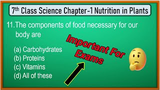 Nutrition in Plants Class 7 Chapter 1 MCQs  Class 7 science chapter 1 nutrition in plants [upl. by Anifesoj605]