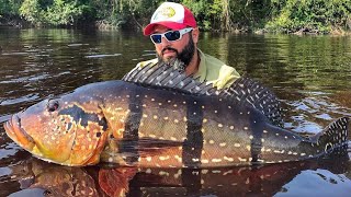 Fishing several big Peacock Bass in the Amazon on the Rio Negro by Yuri Grisendi [upl. by Zetnahs]