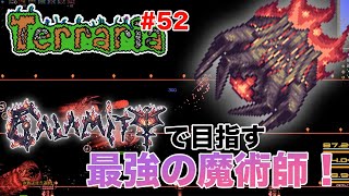 【Calamity Mod】カラミティ感強め！ VS カラミタス テラリア 第52夜【Terraria 日本語化MOD導入版】 [upl. by Lekkim]