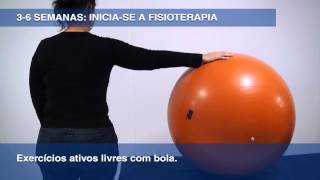 Instituto Balsini  Exercícios ativos livres com bola [upl. by Fiona]