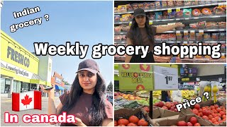 🇨🇦 Weekly grocery shopping in canada  Freshco  Cost  2024  Monthly expenses  Calgary 🇨🇦 [upl. by Daveen]