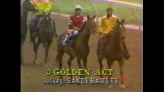 1979 Preakness Stakes  Spectacular Bid [upl. by Bainbrudge591]