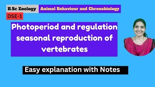 Photoperiod and Regulation seasonal reproduction of vertebrates B Sc zoology 5th semester DSEPII [upl. by Thais]