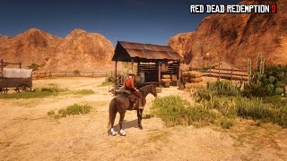 The Best Unlimited Gold Glitch in the Entire Game  Red Dead Redemption 2 [upl. by Inez]