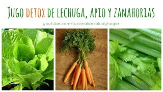 Jugo detox de lechuga apio y zanahoria [upl. by Anaoy]