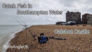 Catch Fish in Southampton Water CALSHOT CASTLE [upl. by Colvert]