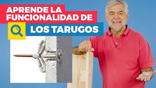 Aprende la funcionalidad de los tarugos  En la lupa de HUM [upl. by Pufahl536]