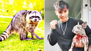 Lucas and Marcus  A Vicious Raccoon Bites My Girlfriend Dog  Ivanita Lomeli [upl. by Eillac]