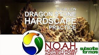 Step by Step 10 Gallon Dragon Stone Layout Aquascaping Hardscape Practice [upl. by Ahsenauj881]