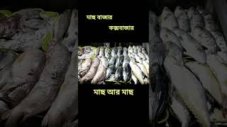 কক্সবাজারে মাছ বাজার ll Fish market Coxs Bazar foryou nature coxsbazar fishmarket [upl. by Cymbre]