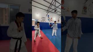 New record taekwondo disciple instructor shorts shortsvideo kick goviral [upl. by Kcir]