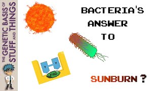 The history and mechanism of photolyase How bacteria recover after sunburn [upl. by Lunetta]