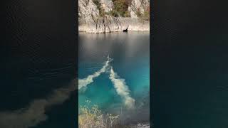 Cervi che nuotano nel lago di San Domenico goledelsagittario in abruzzo [upl. by Ecart]