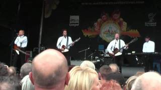 Merseybeats  Hey Baby  Mathew Street Festival 2011 [upl. by Freudberg]