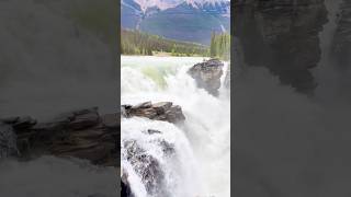 Athabasca Falls Jasper National Park  Icefield Parkway [upl. by Ahseile]