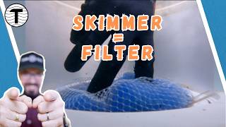 Tipp Skimmer als Filter TomTuT Poolheld [upl. by Dru]