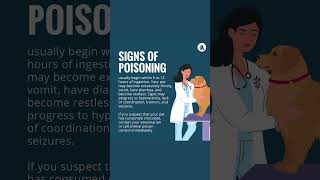 Chocolate Poisoning  Merck Veterinary Manual [upl. by Epuladaugairam]