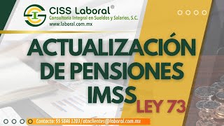 ¿Tu Pensión Está Actualizada Todo sobre las actualizaciones de las pensiones del IMSS Ley 1973 [upl. by Ylecara]