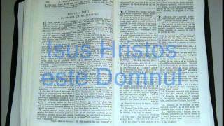 15  1  TIMOTEI  Noul Testament  Biblia Audio Romana [upl. by Assenad]