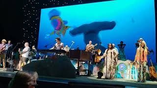 quotFinsquot Jimmy Buffett and the Coral Reefer Band April 23 2022 in Raleigh [upl. by Isyed]