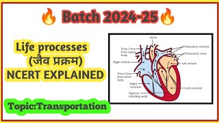 Life Processes Full detailed explanation of Transportation with NCERT activitiesCLASS 10 biology [upl. by Ahsenauq]