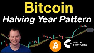 Bitcoin Early Halving Year Pattern Update [upl. by Laersi39]