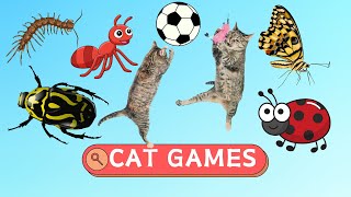 Cat Games  Fun Video Games For Cats  Your Cat Will Love It  CatTV [upl. by Valiant]