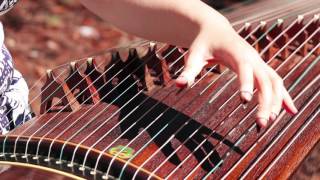 陪你练早功  Guzheng Technique Workout [upl. by Decima901]