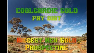 COOLGARDIE GOLD [upl. by Neri]