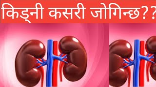 Kidney problem in Nepali Dr Bhupendra Shahdoctor Sathi [upl. by Nosnehpets]