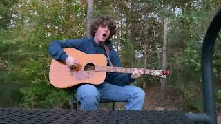 The Ballad of Curtis Loew Covered by Will Palmer [upl. by Jobina]