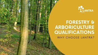 Forestry and Arboriculture  Training and Qualifications [upl. by Jacobine351]