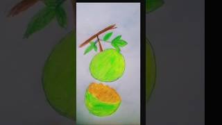 Bael fruit drawing 🙆🙆shorts shortvideo viralshorts [upl. by Aihsemak83]