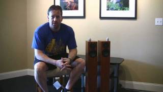 Totem Acoustic Arro Speaker Review HD [upl. by Eilhsa708]