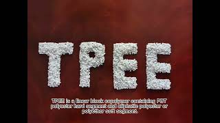 What is TPEE [upl. by Ahsaet]