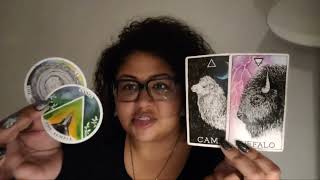 Aries No More Mistaken Identity amp Getting Out of The Swamp aries tarot astrology [upl. by Didi]