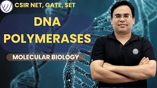 DNA POLYMERASE ENZYME  DNA POL ENZYMES OF PROKARYOTES AND EUKARYOTES  MOLECULAR BIOLOGY CSIR NET [upl. by Sible]