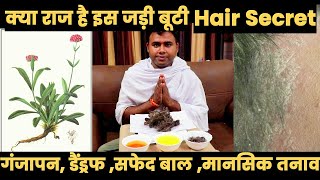 Secret Tips to Hair Regrow and Vow to Stop Hair Fall  Ayurvedic Home Remedies Jadi Buti Desi Nuskhe [upl. by Arst]