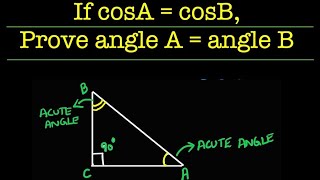 6 Solving Trigonometric Functions Application of Pythagoras Theorem [upl. by Vigor359]