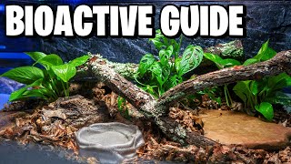 How to Make a Bioactive Enclosure Beginner Guide [upl. by Corvin]