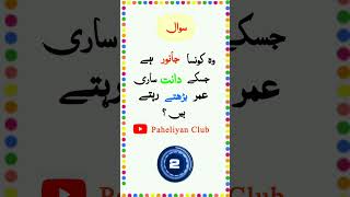 Zaheen log jawab do  Urdu paheliyan jawab k Sath  Urdu Riddles with answers  Paheliyan Club [upl. by Dorita128]