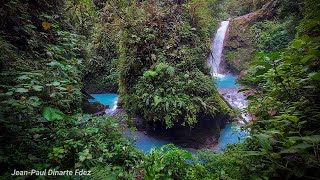 Blue Falls of Costa Rica  Compilation 2024 [upl. by Brunelle]