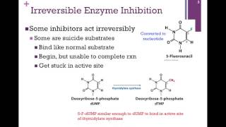 048Irreversible Enzyme Inhibition [upl. by Uwton]