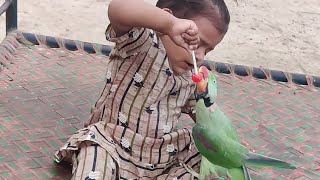 Mithu Ney Aj Cute Baby Se Tofi Cheen Li  Pets Vlog 13 August 2024  Anwar Shah Ustrana Official [upl. by Asilef39]