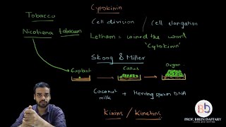 Plant growth amp mineral nutrition Phytohormone Cytokinin [upl. by Alakam]