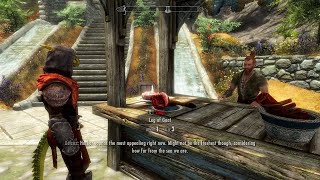 Mod Argonian follower is buying meat in Whiterun Skyrim Anniversary Edition [upl. by Kirtley]