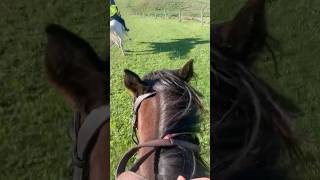 Small gallops with ​⁠laceyeq [upl. by Ahsait]