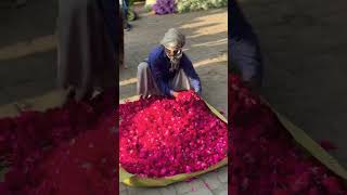 Flower Market Lahore flowers lovers [upl. by Anaid]