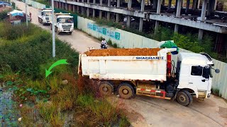 Starting a New project Dump truck 22ton Bulldozer Komatsu push Soil into landfill delete water [upl. by Kluge]